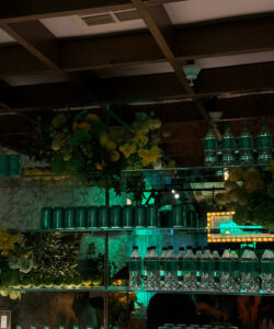 Sprite-casita-hollywood-brand-event - Bronson Hospitality Bar shelving with teal-colored bottles and a lush green-yellow floral arrangement, illuminated by green neon lighting behind glass shelves.